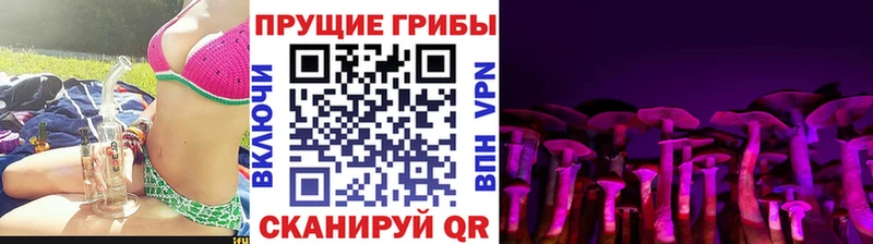 дарнет шоп Краснослободск Галлюциногенные грибы Psilocybe