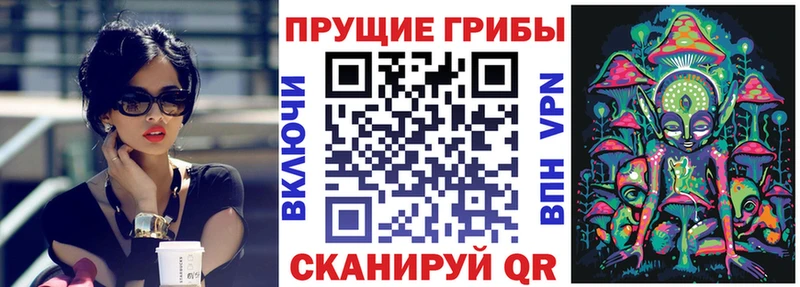 Псилоцибиновые грибы Magic Shrooms Краснослободск